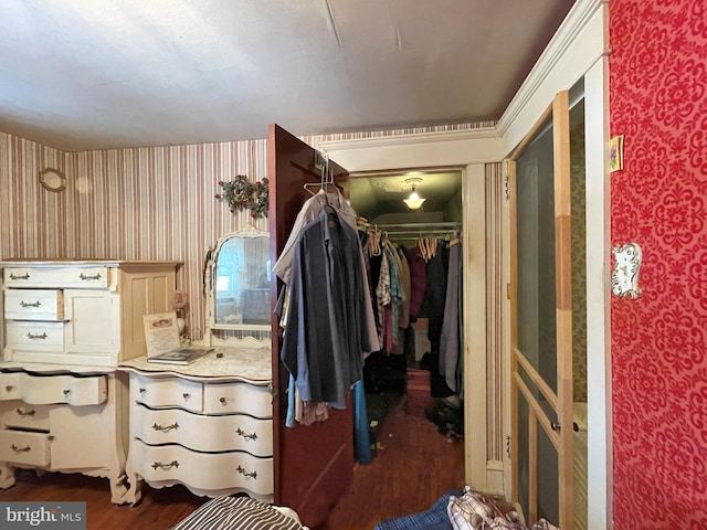 walk in closet featuring dark hardwood / wood-style floors