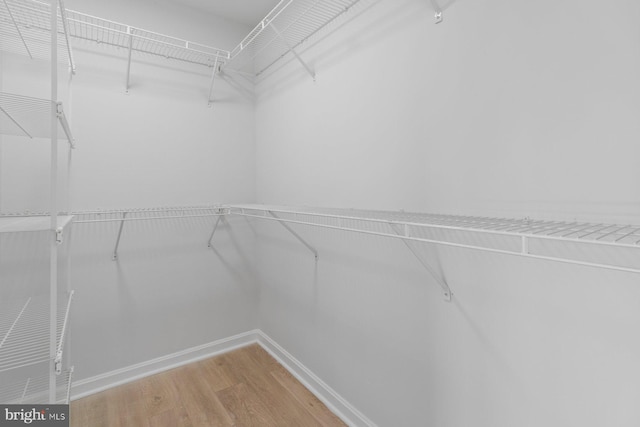 spacious closet featuring hardwood / wood-style floors