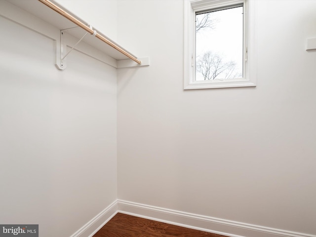 spacious closet featuring hardwood / wood-style flooring