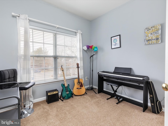 miscellaneous room featuring light colored carpet