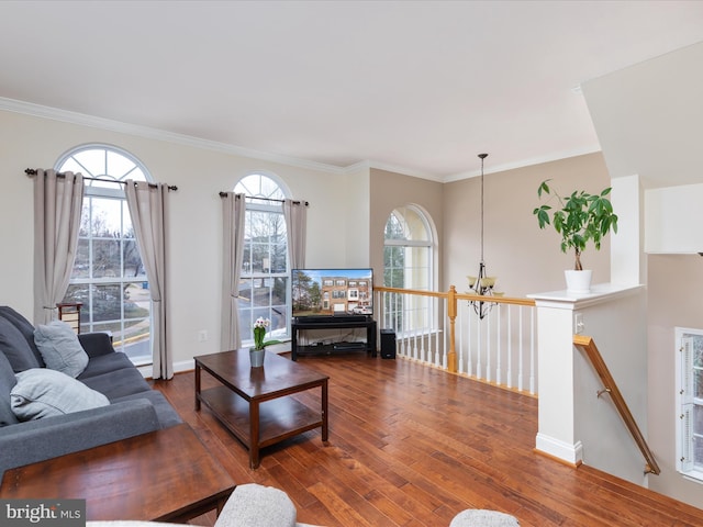 living room featuring ornamental molding and dark hardwood / wood-style floors