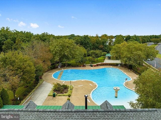 view of swimming pool with a patio