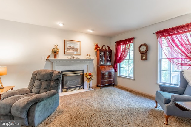 sitting room featuring carpet floors