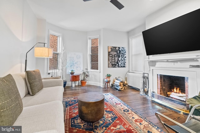 living room featuring dark hardwood / wood-style floors, radiator heating unit, and ceiling fan