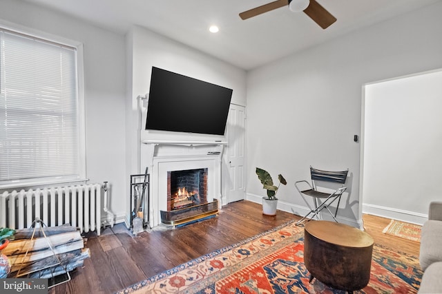 living room featuring dark wood-type flooring, radiator heating unit, and ceiling fan