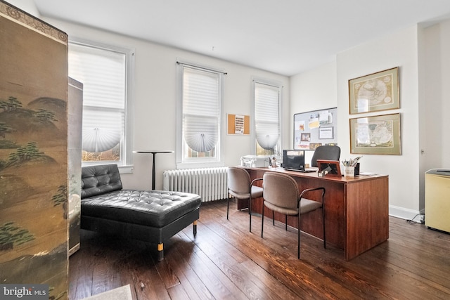 office featuring radiator heating unit and dark hardwood / wood-style flooring