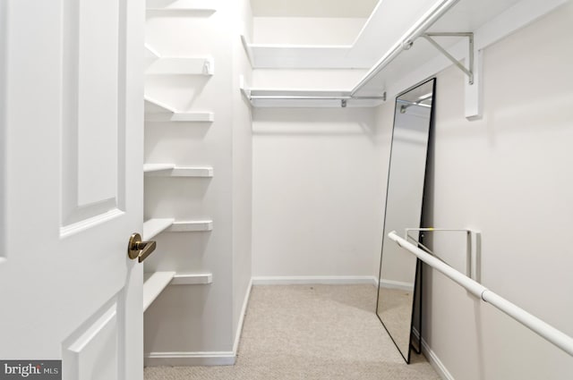 walk in closet featuring light carpet