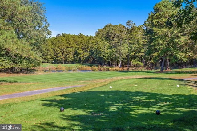 view of community with a lawn