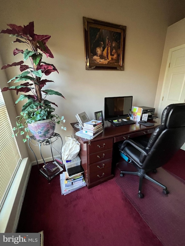 view of carpeted home office