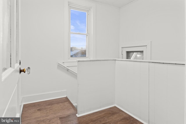 walk in closet with dark hardwood / wood-style flooring