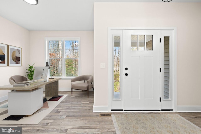 entrance foyer featuring light hardwood / wood-style flooring