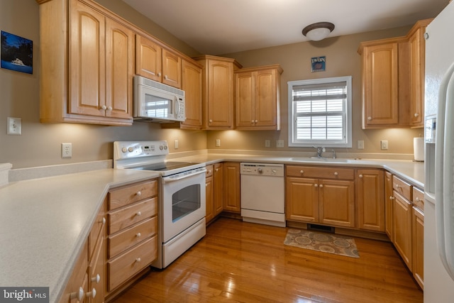 kitchen with sink, white appliances, light hardwood / wood-style flooring, and light brown cabinets