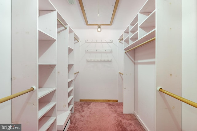 walk in closet with light colored carpet