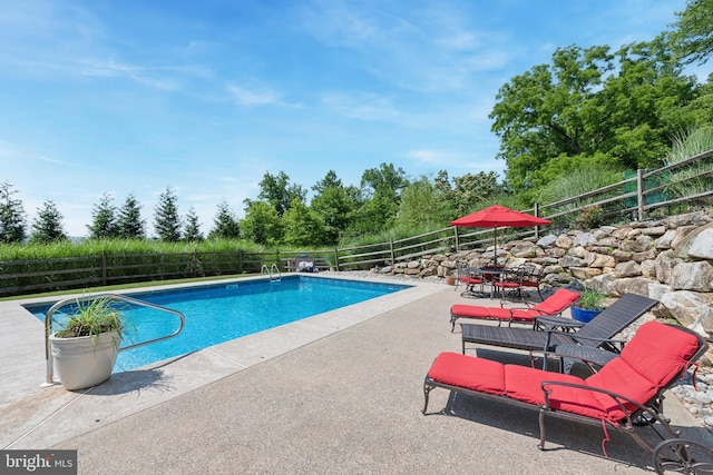 view of swimming pool featuring a patio area, a fenced backyard, and a fenced in pool