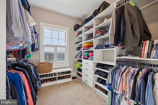 walk in closet with carpet