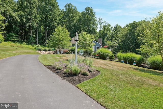 view of community featuring driveway and a lawn