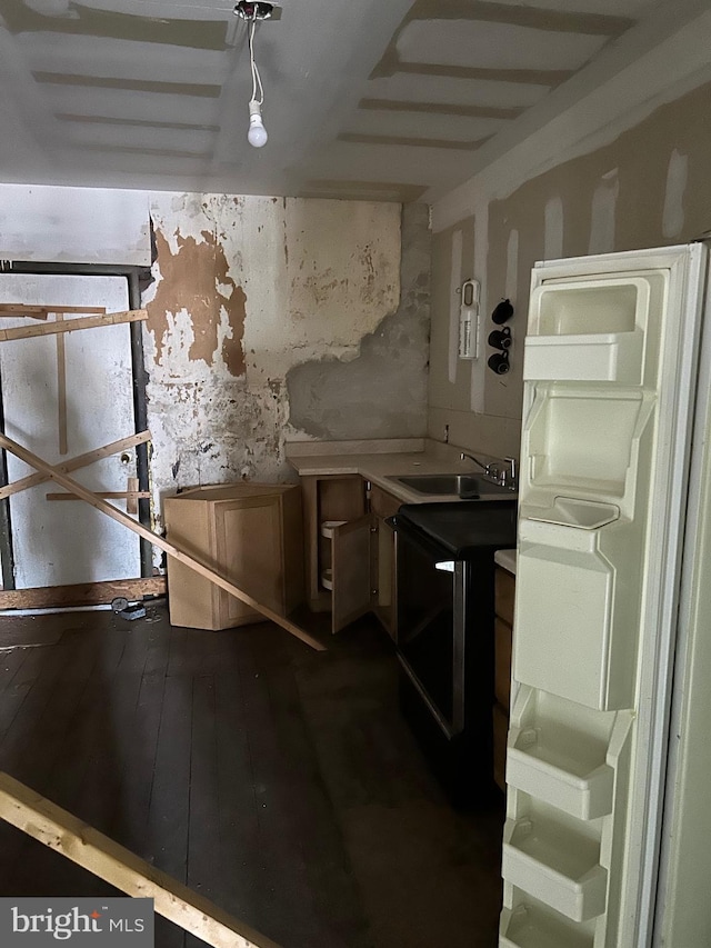 kitchen featuring wood-type flooring and sink