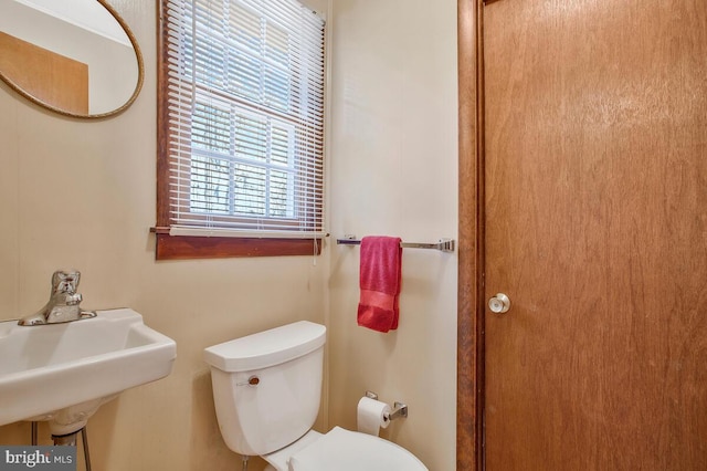 bathroom featuring toilet and sink