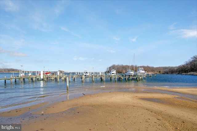 dock area featuring a water view