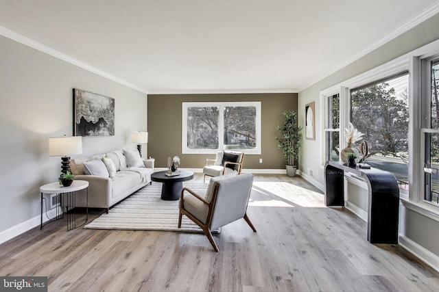 living room featuring crown molding and light hardwood / wood-style floors