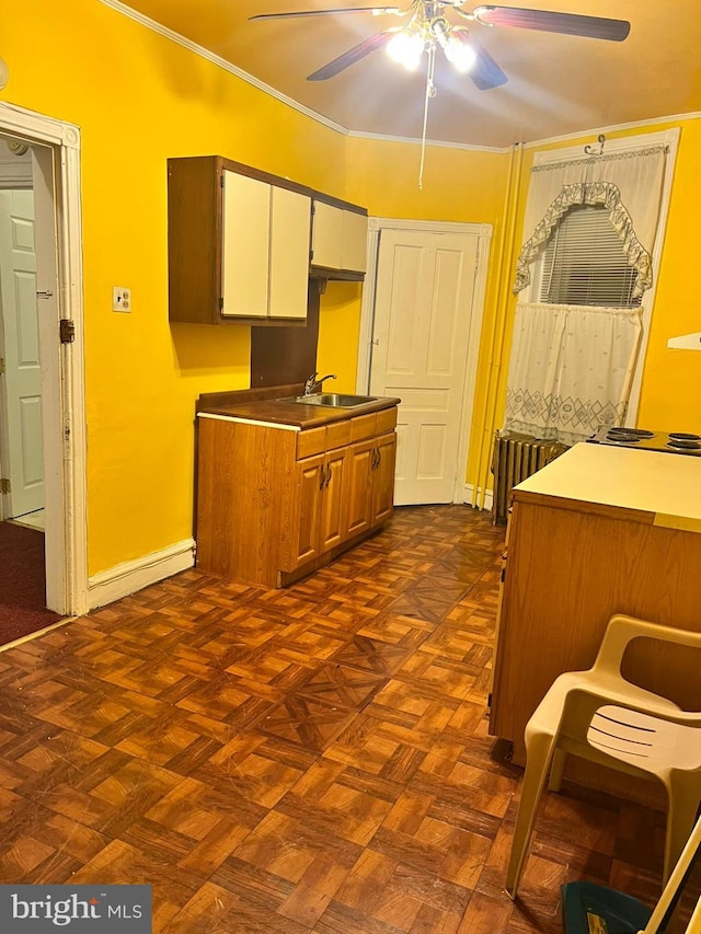 kitchen featuring ceiling fan, ornamental molding, dark parquet flooring, and sink