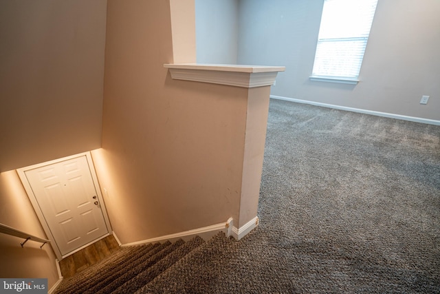 interior space featuring carpet flooring