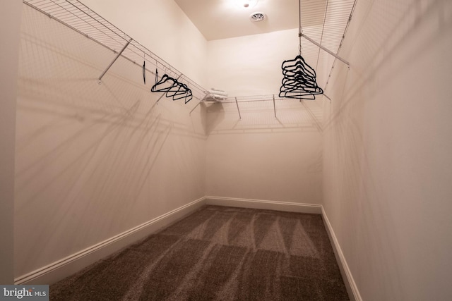 spacious closet with dark colored carpet