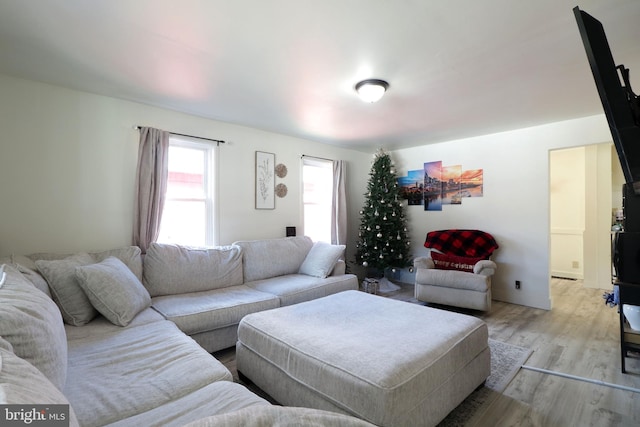 living room featuring light hardwood / wood-style floors