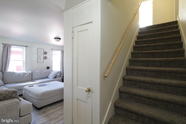 staircase featuring wood-type flooring