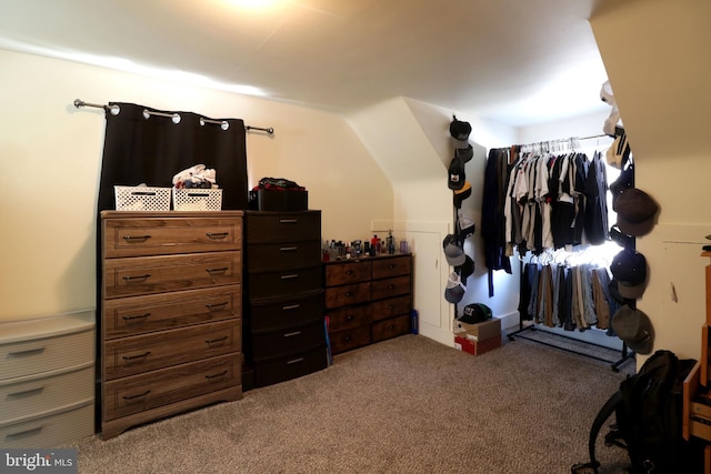 spacious closet featuring carpet floors