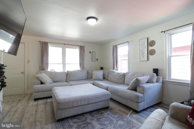 living room featuring wood-type flooring