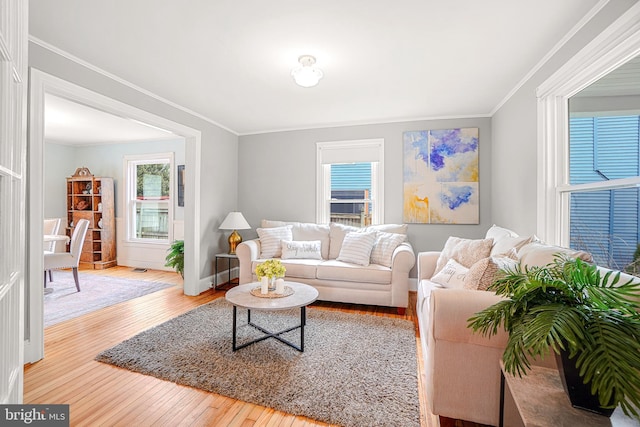 living room featuring crown molding and light hardwood / wood-style floors