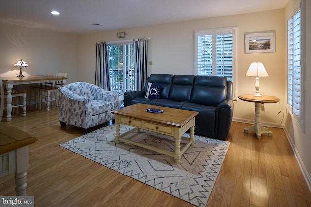 living room with plenty of natural light and light wood-type flooring