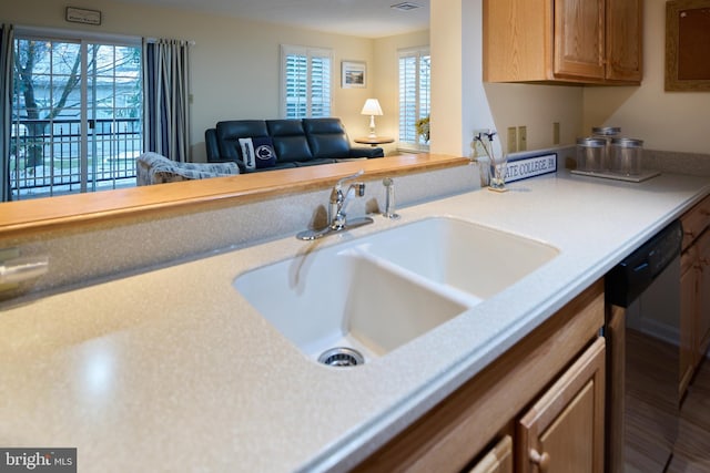 kitchen featuring sink and stainless steel dishwasher