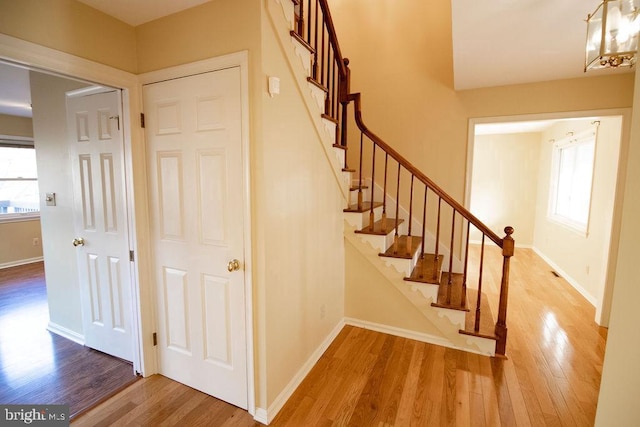 stairs featuring wood-type flooring and plenty of natural light