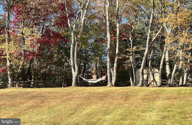 view of yard with fence and a shed