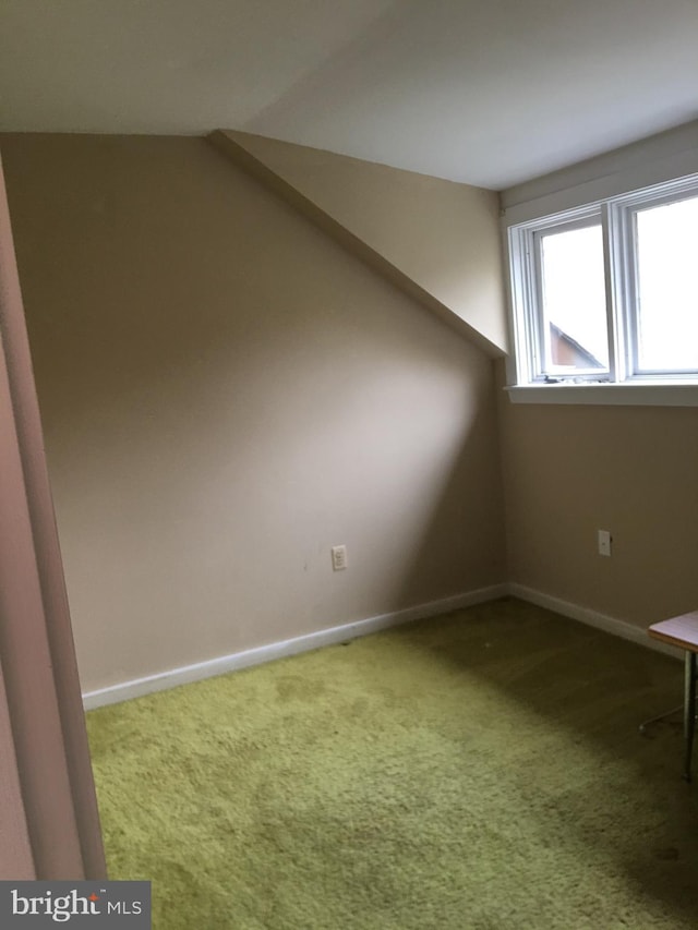 bonus room featuring carpet