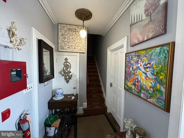 interior space featuring crown molding