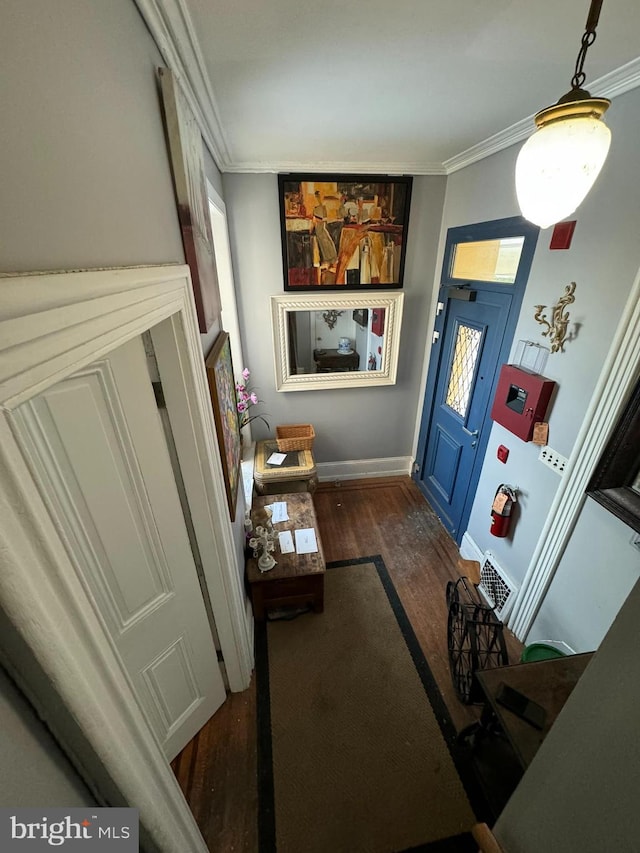 interior space featuring crown molding and dark hardwood / wood-style flooring