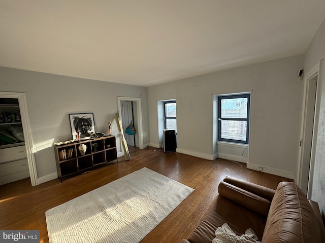 living room featuring hardwood / wood-style flooring