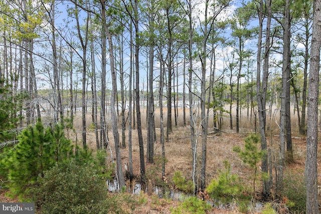 view of landscape