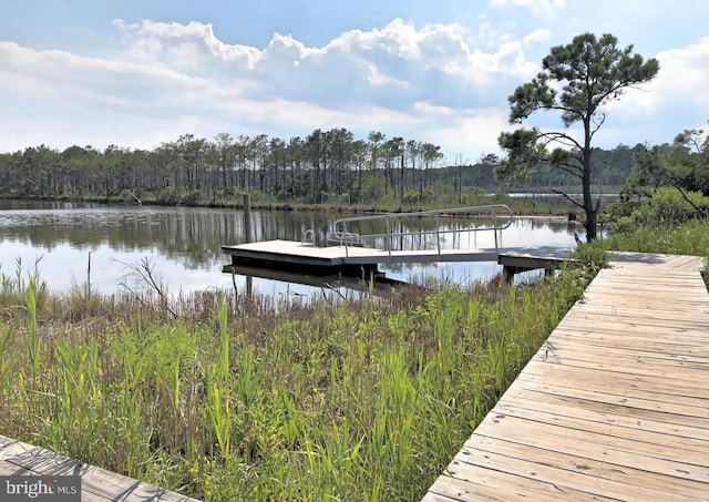 dock area featuring a water view