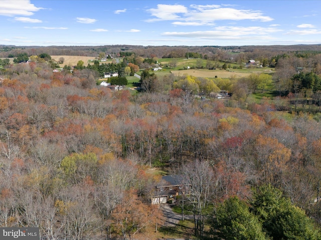 bird's eye view featuring a view of trees