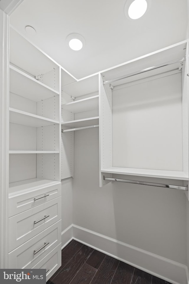 walk in closet featuring dark wood finished floors