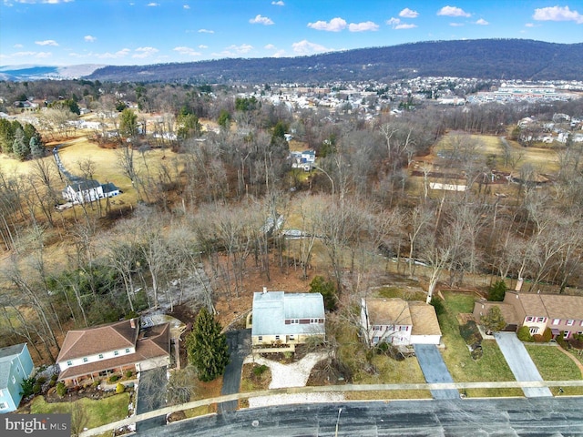 bird's eye view with a mountain view