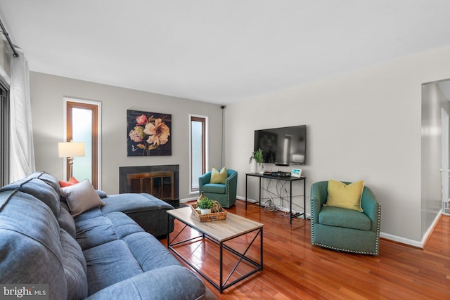 living room with hardwood / wood-style flooring