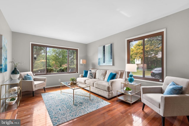 living room with wood-type flooring and a wealth of natural light