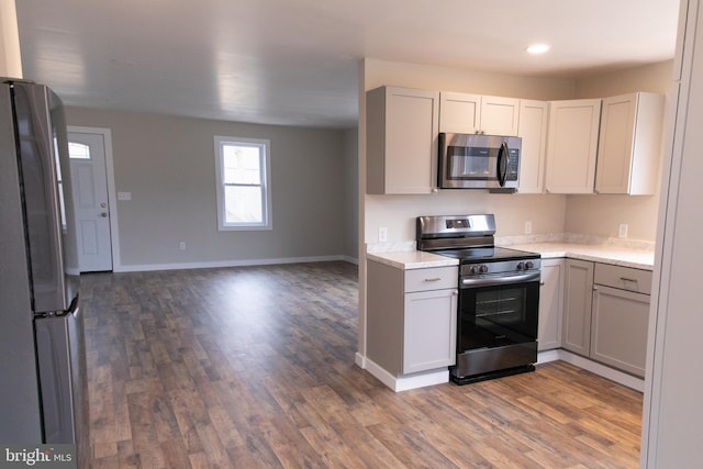 kitchen featuring wood-type flooring and appliances with stainless steel finishes