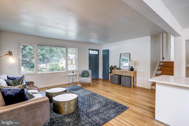 living room with hardwood / wood-style flooring