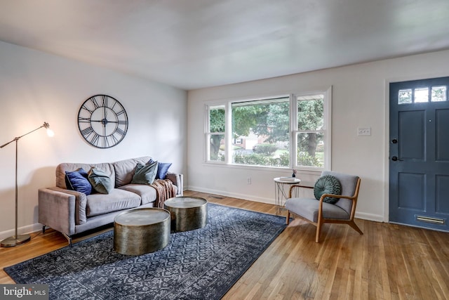 living room with wood-type flooring